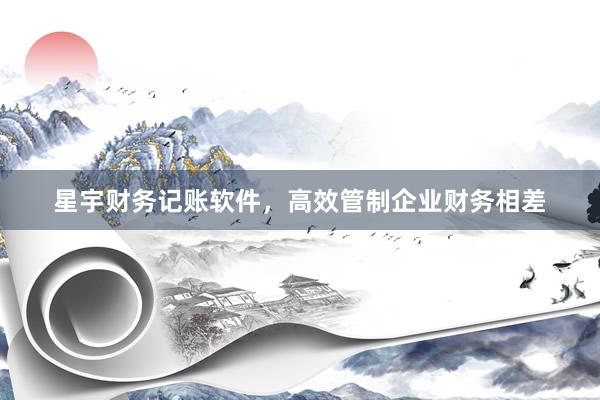 星宇财务记账软件，高效管制企业财务相差