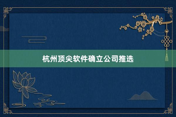 杭州顶尖软件确立公司推选